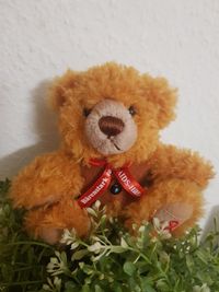 Aids-Teddy 2016 - Ich bin noch zu haben!